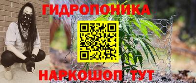 гидропоника Гусев