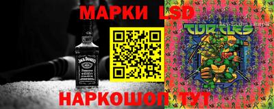 гидропоника Гусев
