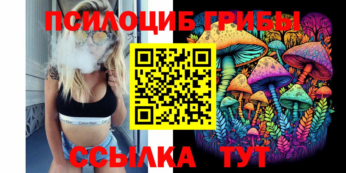 Псилоцибиновые грибы прущие грибы Каменск-Шахтинский